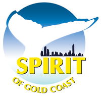 Spirit of Gold Coast Whale Watching - Whitsundays Accommodation