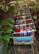 Scenic World Blue Mountains - Whitsundays Accommodation 2