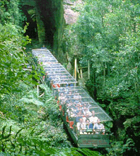 Scenic World Blue Mountains - Whitsundays Accommodation 3