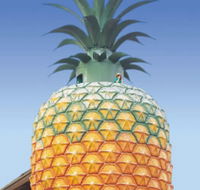 The Big Pineapple - Whitsundays Accommodation