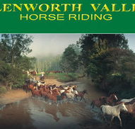 Glenworth Valley Horseriding - Whitsundays Accommodation