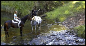 Glenworth Valley Horseriding - Whitsundays Accommodation 1