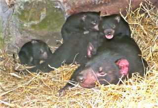  Whitsundays Accommodation