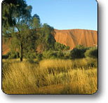 Uluru - Kata Tjuta National Park - Whitsundays Accommodation
