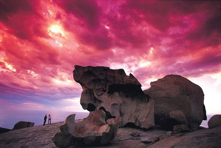 Kangaroo Island Adventure Tour 2 Day/1 Night - Whitsundays Accommodation 0