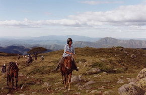 High Country Horses - Whitsundays Accommodation 0