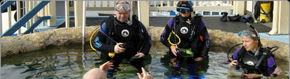 Scuba World - Whitsundays Accommodation 2