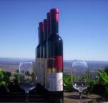 Mount Tamborine Winery  Homestead - Whitsundays Accommodation