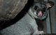 Bunbury Wildlife Park - thumb 2