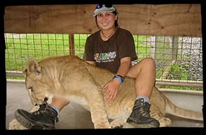 Cairns Wildlife Safari Reserve - Whitsundays Accommodation 1