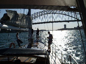Kalypso Cruises - Whitsundays Accommodation 2