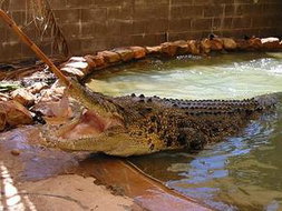 Book Berkeley River WA Attractions Whitsundays Accommodation Whitsundays Accommodation