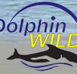 Dolphin Wild - Whitsundays Accommodation