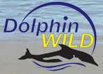 Dolphin Wild - Whitsundays Accommodation 0