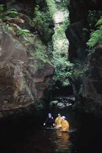 High And Wild Mountain Adventures - Whitsundays Accommodation 1