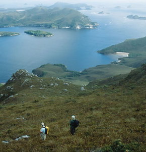Roaring 40s Kayaking - Whitsundays Accommodation 1