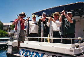 Sea Master Fishing Charters - Whitsundays Accommodation 1