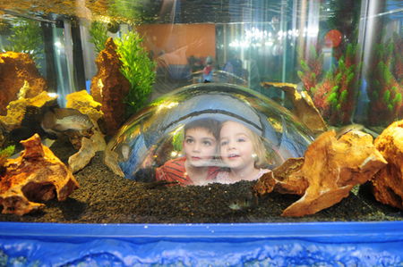 Scitech - Whitsundays Accommodation 3