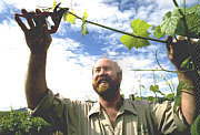 Barossa Valley SA Whitsundays Accommodation