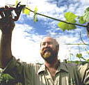 Barossa Experience Tours - Whitsundays Accommodation