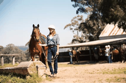 Watsons Trail Rides - Whitsundays Accommodation