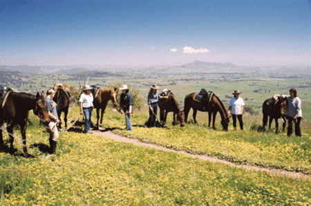 Watsons Trail Rides - Whitsundays Accommodation 1