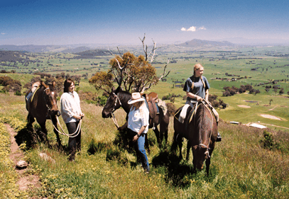 Watsons Trail Rides - Whitsundays Accommodation 2