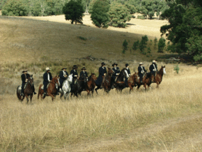 McCormacks Mountain Valley Trail Rides - Whitsundays Accommodation
