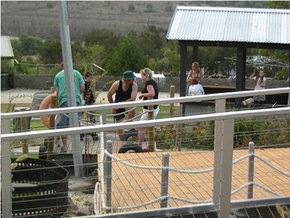 High Country - Whitsundays Accommodation 0