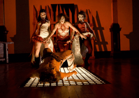 Zen Zen Zo Physical Theatre - Whitsundays Accommodation 1