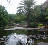 Brisbane City Botanic Gardens - Whitsundays Accommodation