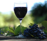  Whitsundays Accommodation