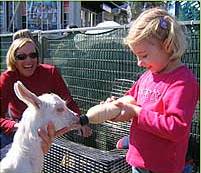 The Sun Herald Sydney Family Show - Whitsundays Accommodation 2