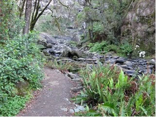 Stevensons Falls - Whitsundays Accommodation 1