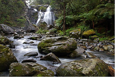 Stevensons Falls - Whitsundays Accommodation 2