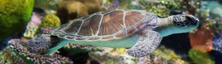 Melbourne Aquarium - Whitsundays Accommodation 1