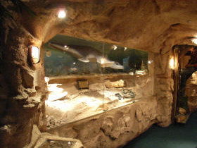 The National Opal Collection - Whitsundays Accommodation 2