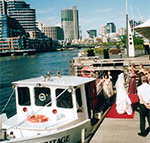 Bay  River Cruises - Whitsundays Accommodation