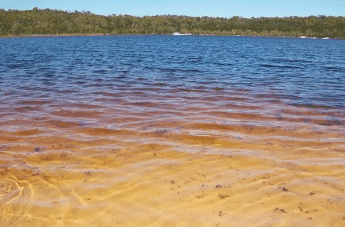 Beach Trekkers North Stradbroke Island - Whitsundays Accommodation 1