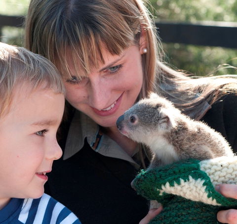 Australian Reptile Park - Whitsundays Accommodation 1