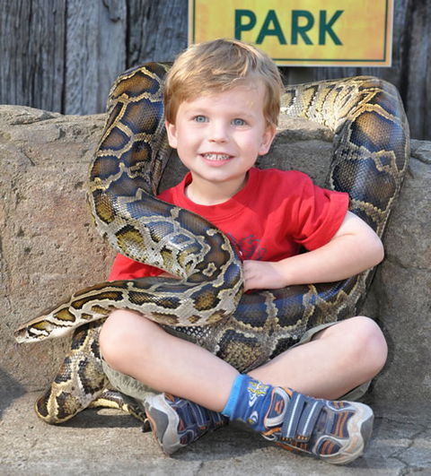Australian Reptile Park - Whitsundays Accommodation 3