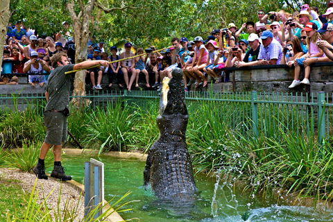 Australian Reptile Park - Whitsundays Accommodation 4