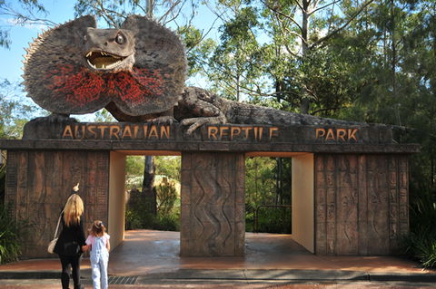 Australian Reptile Park - Whitsundays Accommodation 5