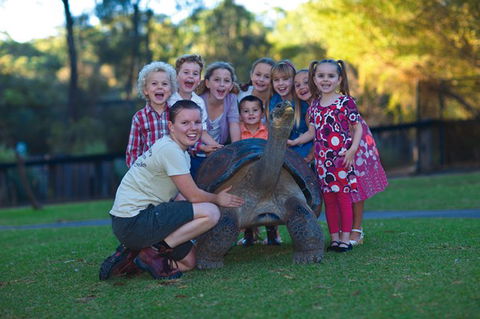 Australian Reptile Park - Whitsundays Accommodation 11