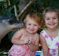 Dolphin Marine Magic - Whitsundays Accommodation