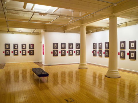 Cairns Regional Gallery - Whitsundays Accommodation 2