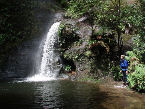 Blue Mountains Adventure Company - Whitsundays Accommodation 1