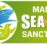 Manly SEA LIFE Sanctuary