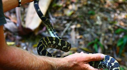 Queensland Day Tours - Whitsundays Accommodation 1