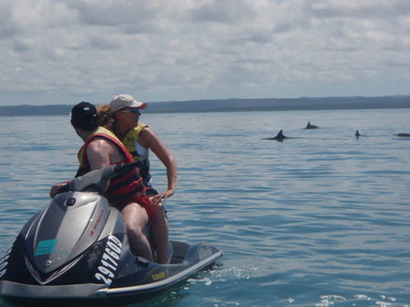 Aquavue Cafe Watersports - Whitsundays Accommodation 5